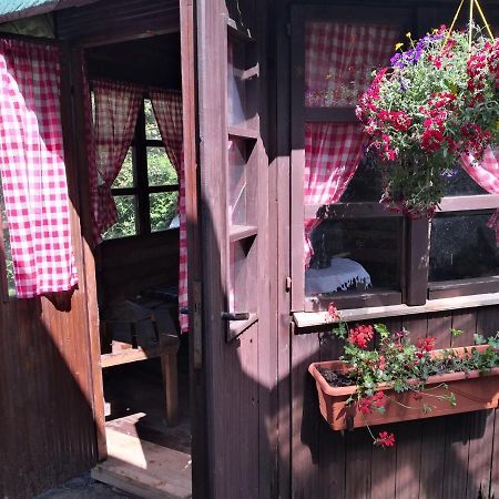Charmante Ferienwohnung 3 Zimmer Kueche Bad Zentrale Lage Hagen im Bremischen ภายนอก รูปภาพ