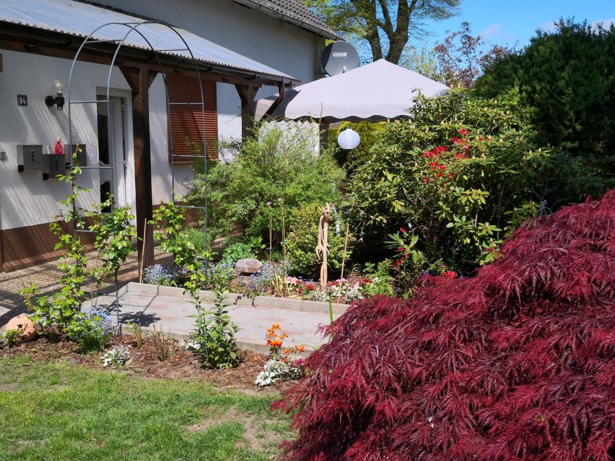Charmante Ferienwohnung 3 Zimmer Kueche Bad Zentrale Lage Hagen im Bremischen ภายนอก รูปภาพ